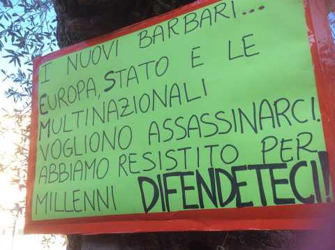 Urla e dubbi: il Salento difende i suoi ulivi da xylella e strane ''ombre''